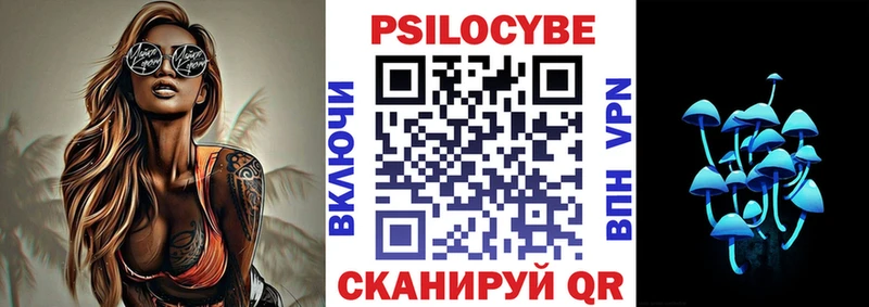 хочу наркоту  Юрюзань  Псилоцибиновые грибы мицелий 